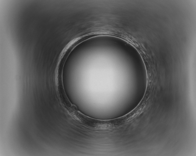 X0000116850200200912221125