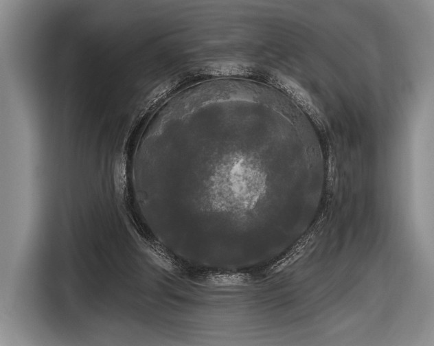 X0000116850202200912221125