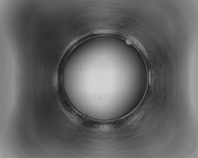 X0000116850204200912221125
