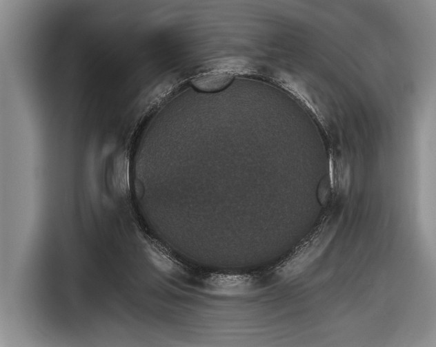 X0000116850205200912221125