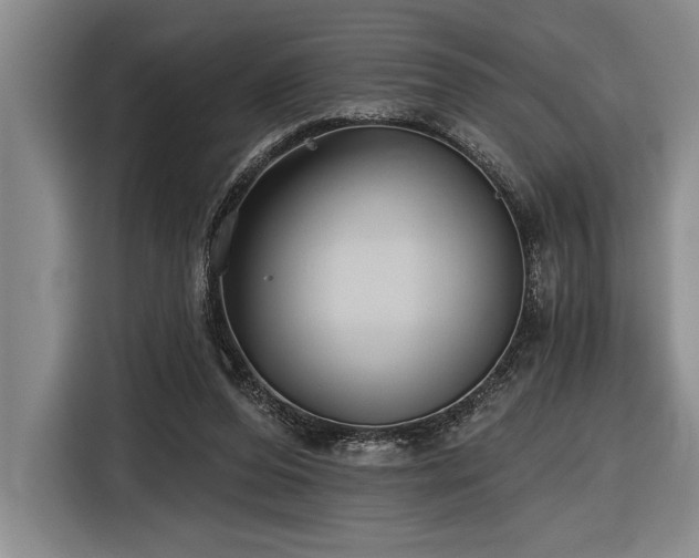 X0000116850208200912221125