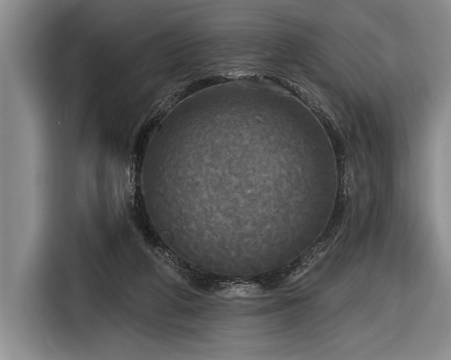 X0000116850210200912221125