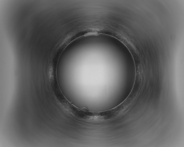 X0000116850212200912221125