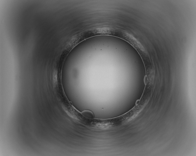 X0000116850213200912221125