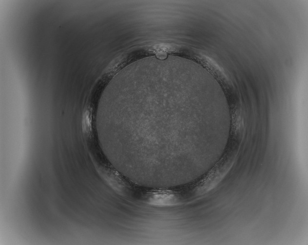 X0000116850214200912221125
