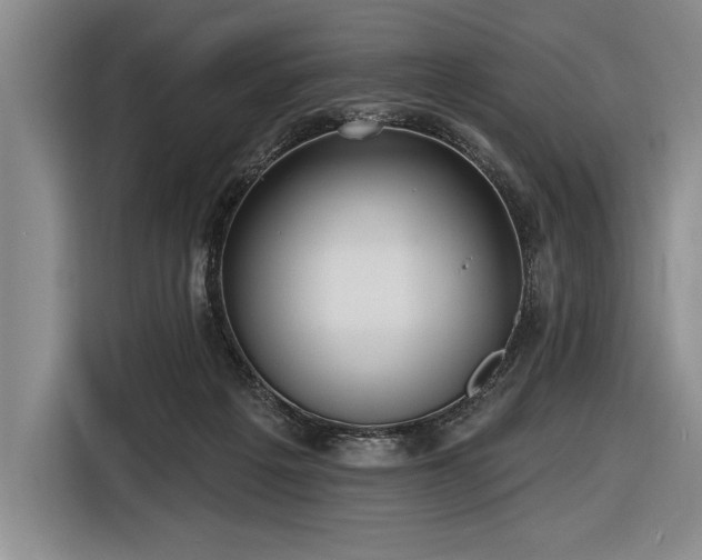 X0000116850217200912221125