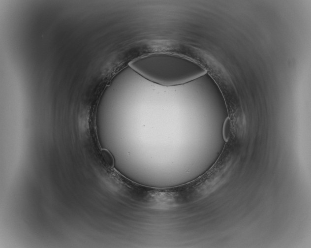 X0000116850221200912221125