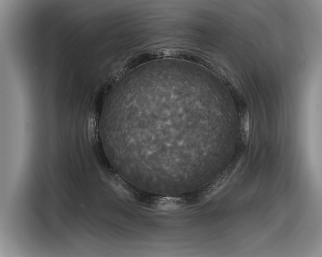 X0000116850222200912221125