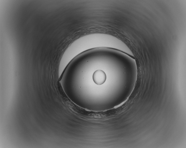 X0000116850223200912221125