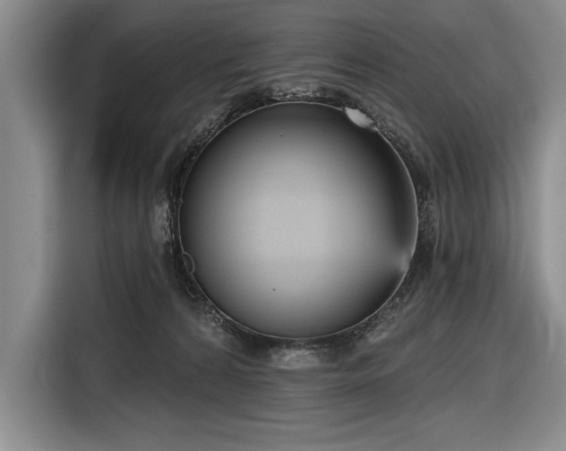 X0000116850224200912221125