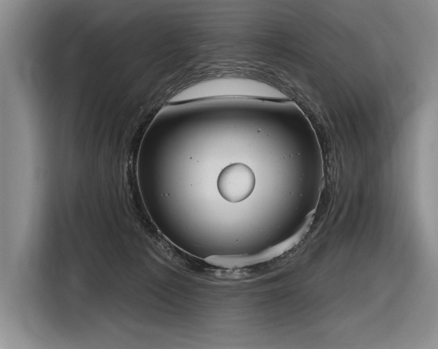 X0000116850225200912221125