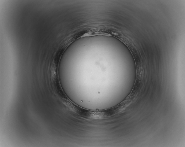 X0000116850226200912221125