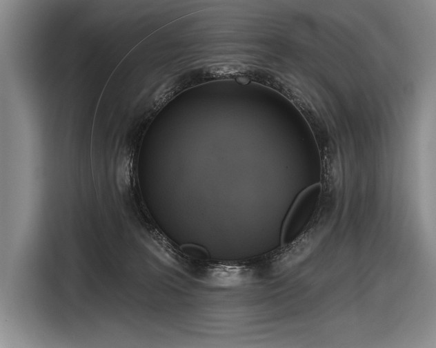 X0000116850227200912221125