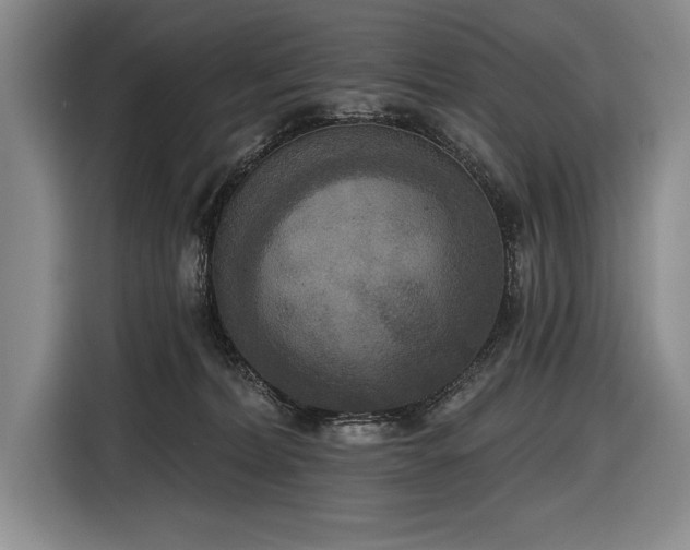X0000116850228200912221125