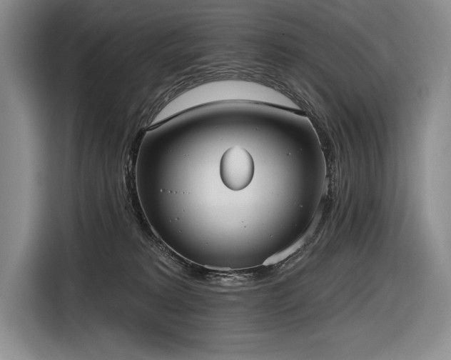 X0000116850229200912221125