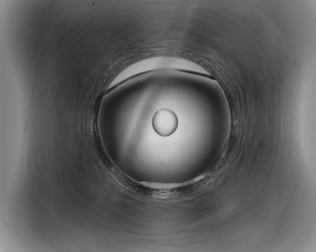 X0000116850231200912221125