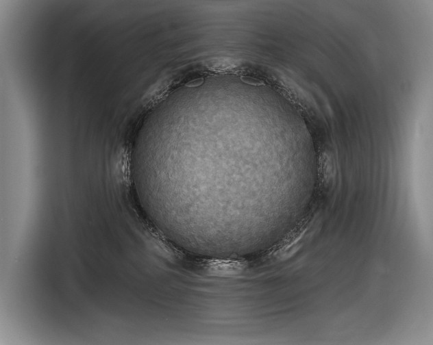 X0000116850234200912221125