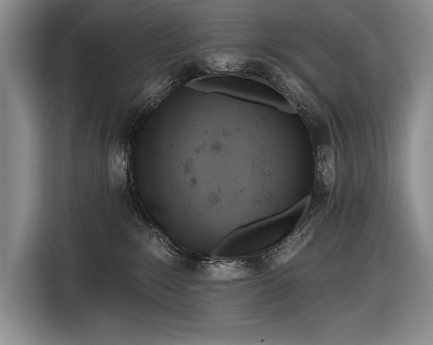 X0000116850235200912221125