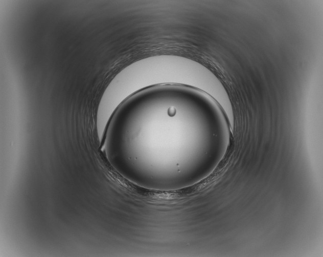 X0000116850237200912221125