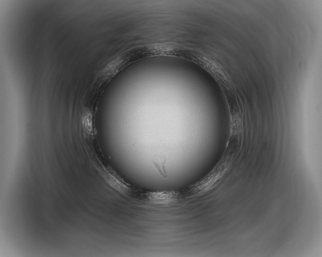 X0000116850238200912221125