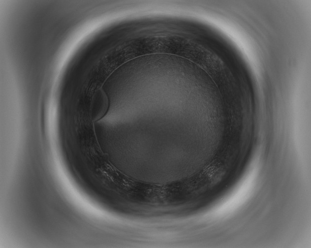X0000116850239200912221125