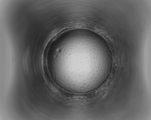 X0000116850242200912221124