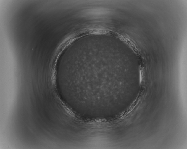X0000116850243200912221124