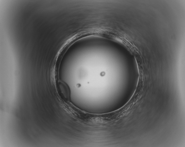 X0000116850244200912221124