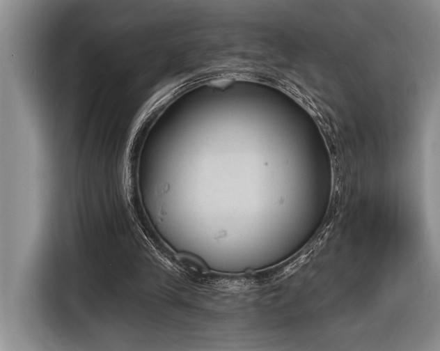 X0000116850245200912221124