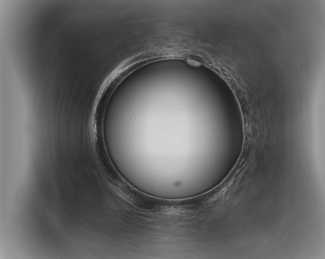 X0000116850246200912221124