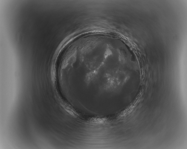 X0000116850247200912221124