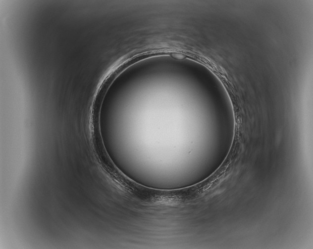X0000116850248200912221124