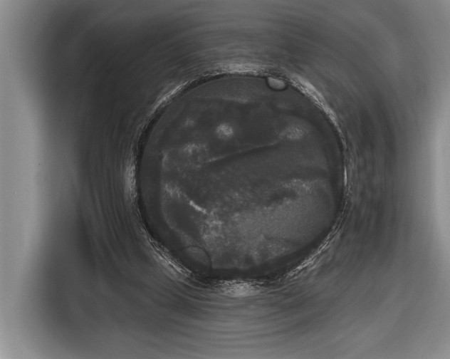 X0000116850249200912221124