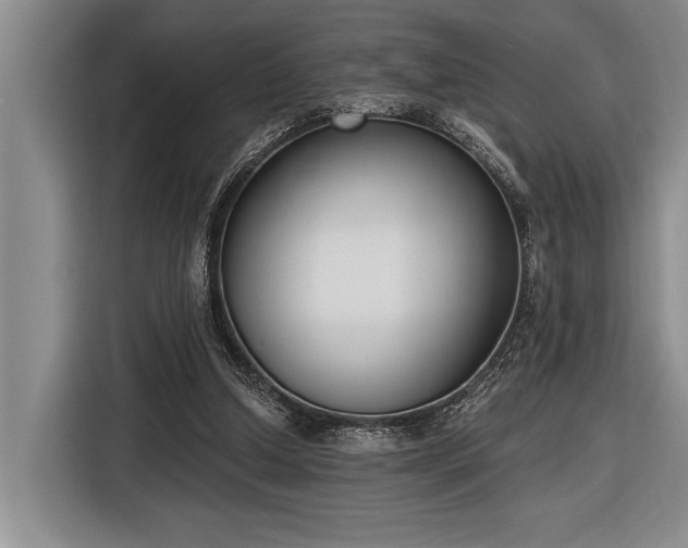 X0000116850250200912221124