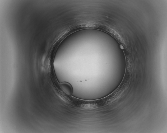 X0000116850251200912221124