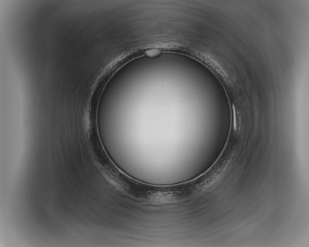 X0000116850252200912221124