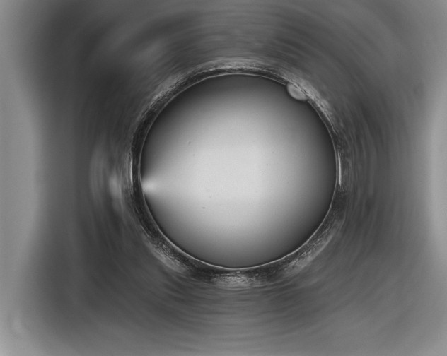 X0000116850253200912221124