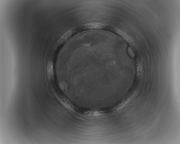 X0000116850254200912221124