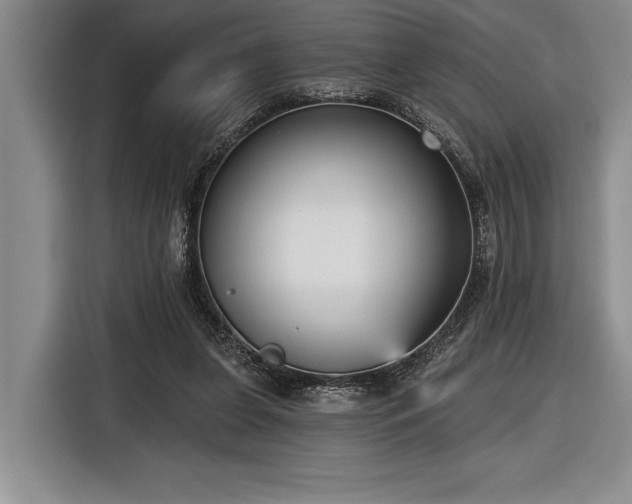 X0000116850255200912221124