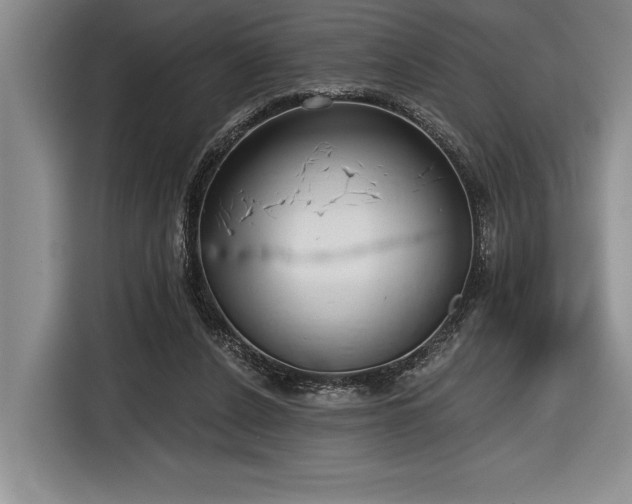 X0000116850256200912221124