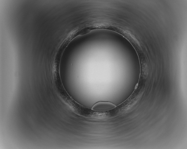 X0000116850260200912221124