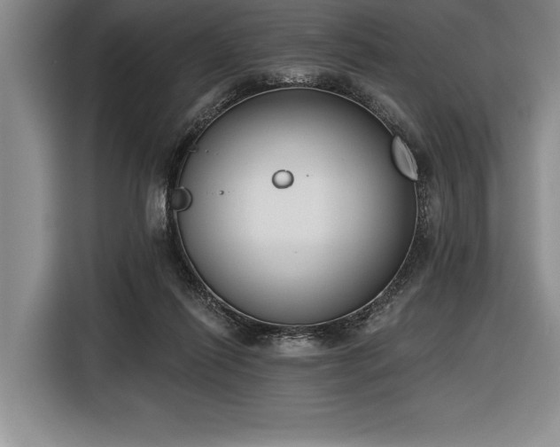 X0000116850262200912221124