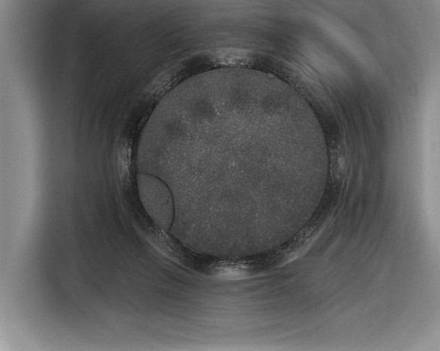 X0000116850263200912221124