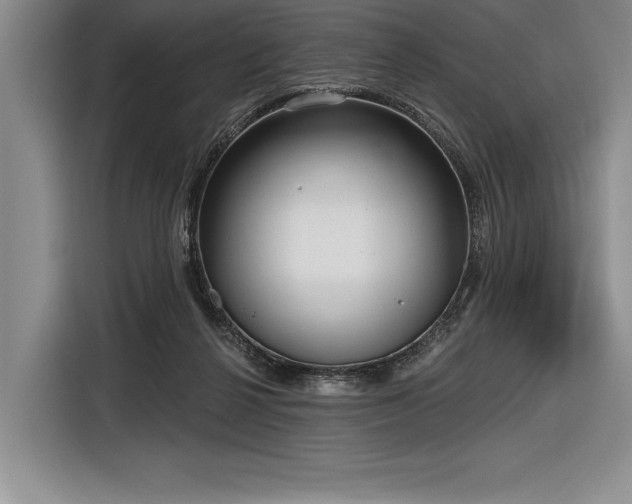 X0000116850264200912221124