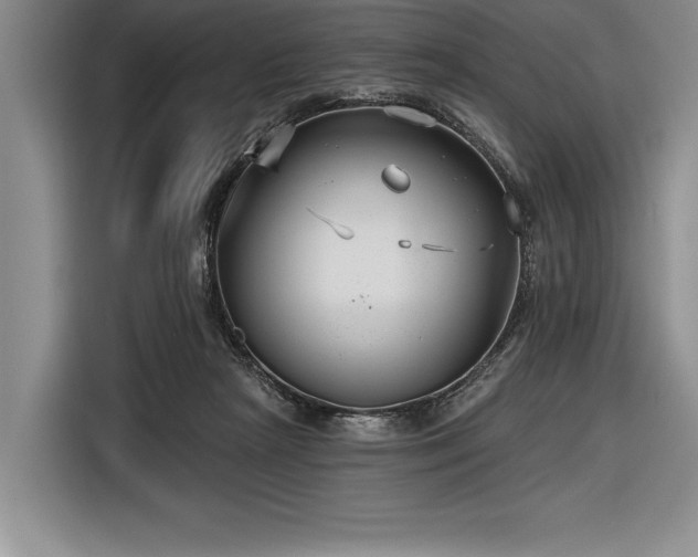 X0000116850265200912221124