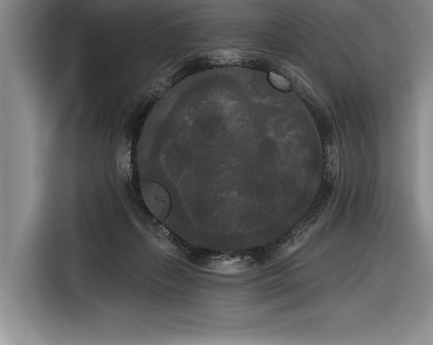 X0000116850267200912221124