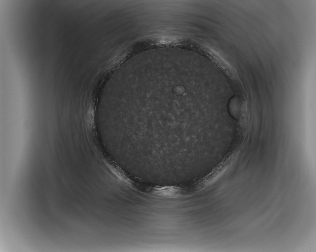 X0000116850269200912221125