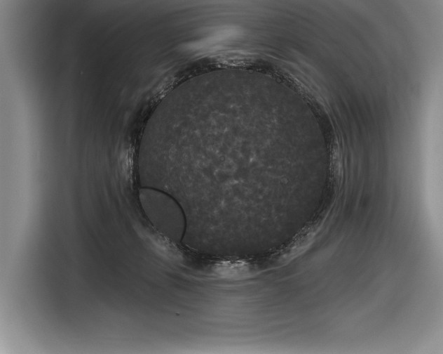 X0000116850271200912221125