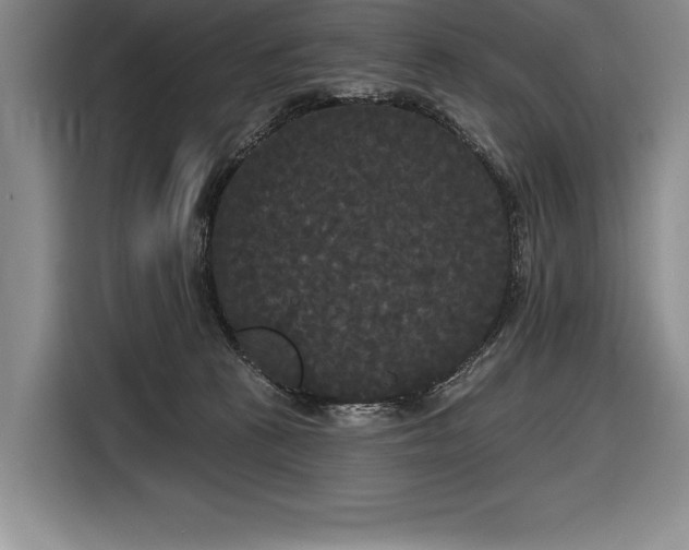 X0000116850273200912221125