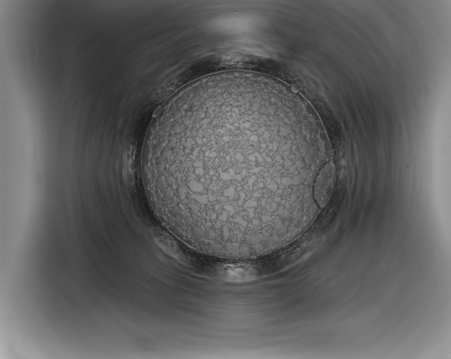 X0000116850275200912221125